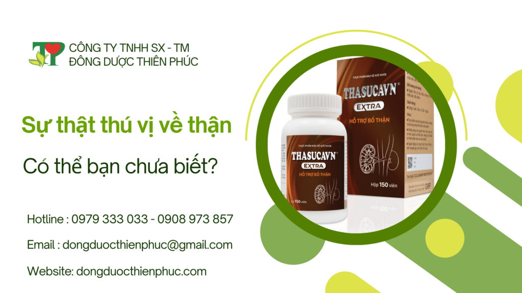 thuốc bổ thận thasucavn