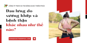 đau lưng do bệnh thận