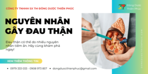nguyên nhân đau thận