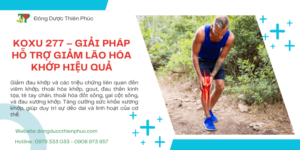 lão hóa khớp