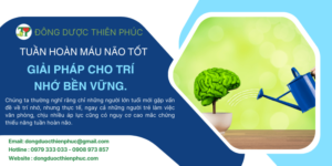 tuần hoàn máu não