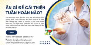 tuần hoàn não