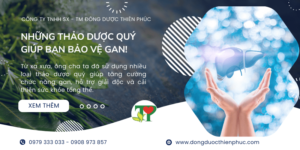bảo vệ gan