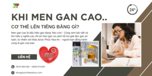 men gan cao