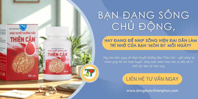 Hoạt huyết dưỡng Não Thiên Cân