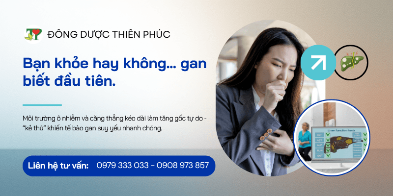 kiểm tra chức năng gan