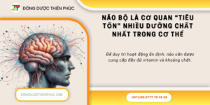 cải thiện trí nhớ