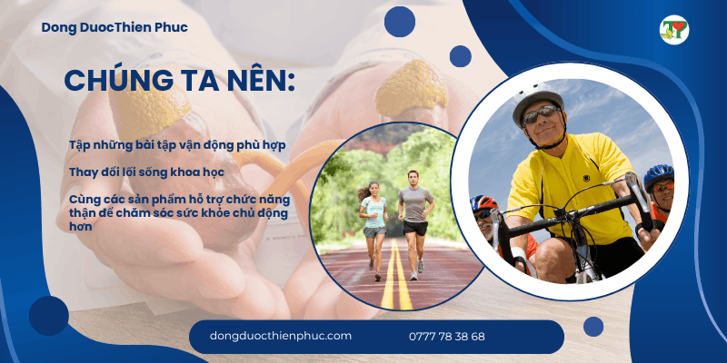 Thận và hệ tuần hoàn Thận và hệ tuần hoàn