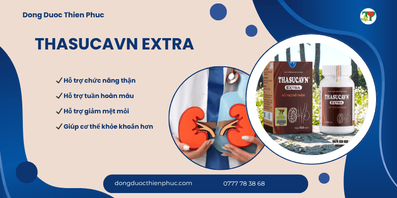 Thận và hệ tuần hoàn Thận và hệ tuần hoàn