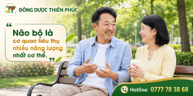 não bộ khỏe mạnh não bộ khỏe mạnh