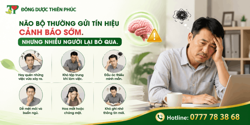 não bộ khỏe mạnh não bộ khỏe mạnh