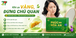 khi-da-vang-dung-chu-quan
