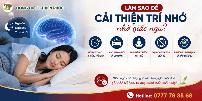 trí nhớ trí nhớ