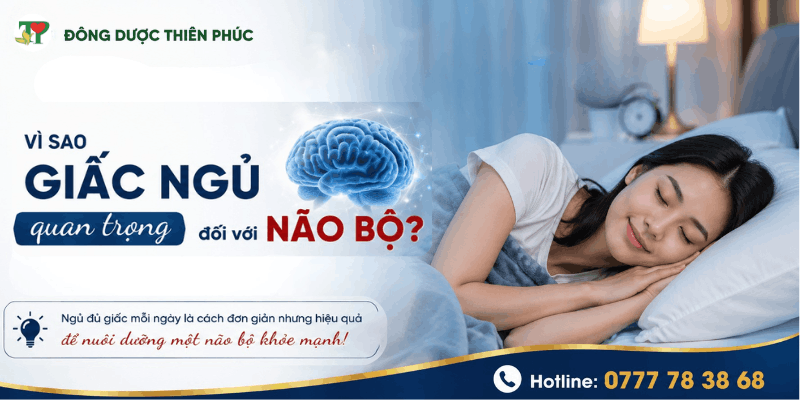 trí nhớ trí nhớ
