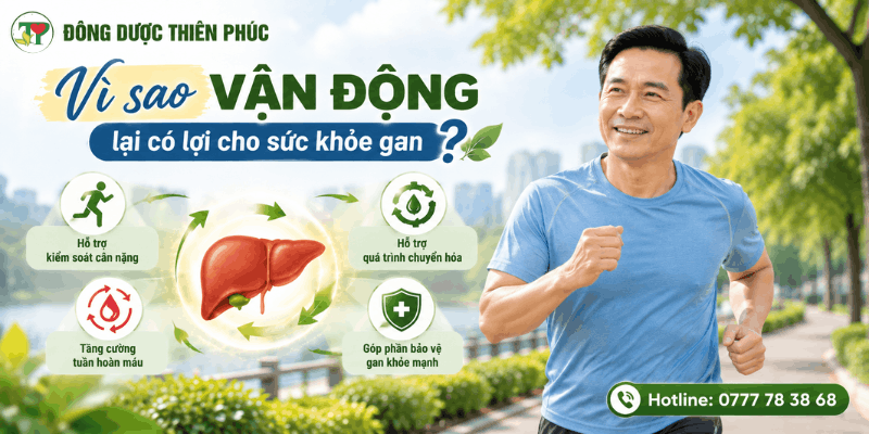 gan khỏe gan khỏe