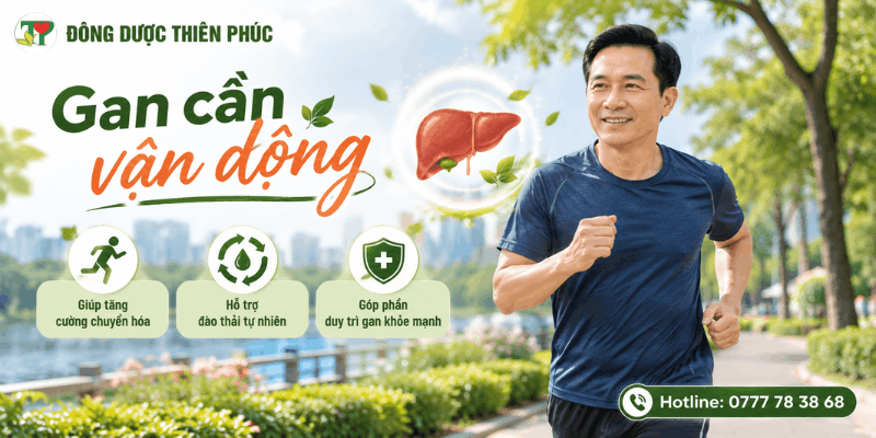 gan khỏe gan khỏe