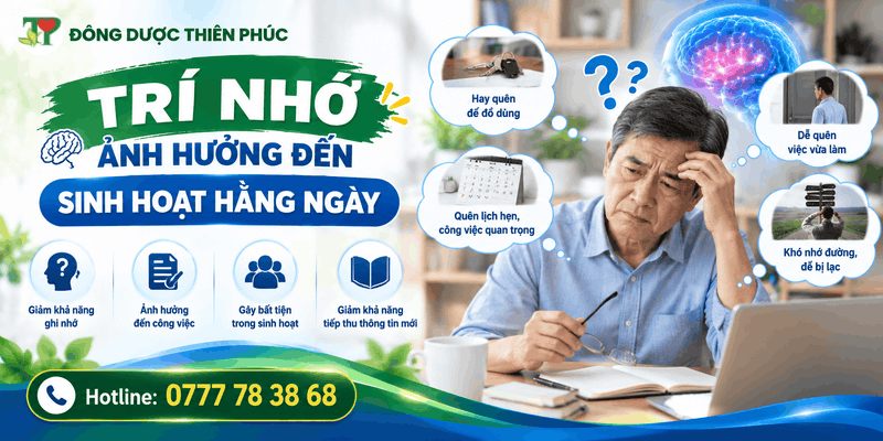 suy giảm trí nhớ suy giảm trí nhớ
